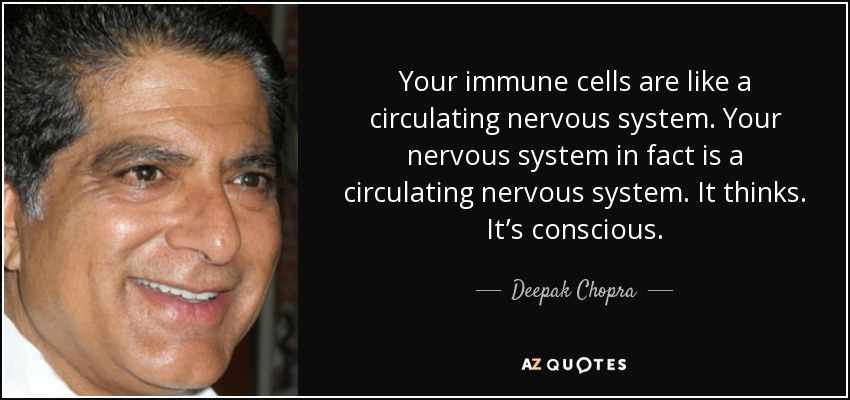 Sus células inmunitarias son como un sistema nervioso circulante. Su sistema nervioso es, de hecho, un sistema nervioso circulante. Piensa. Es consciente. - Deepak Chopra