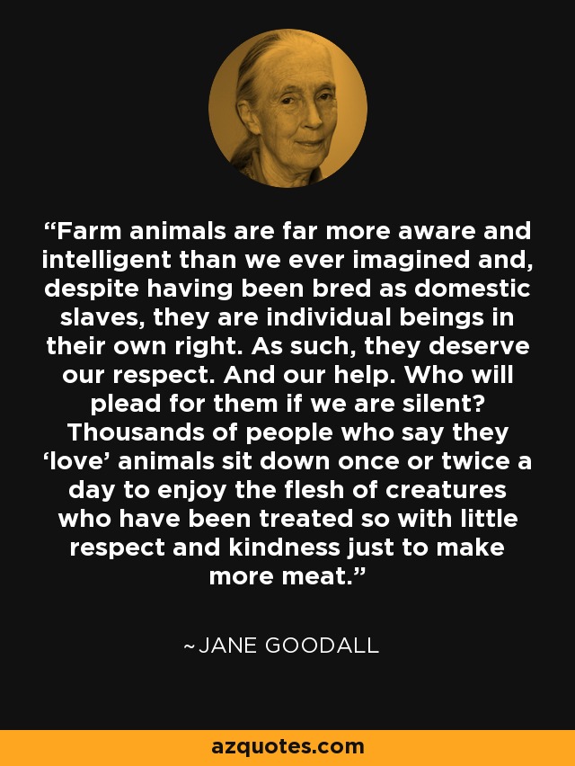Farm animals are far more aware and intelligent than we ever imagined and, despite having been bred as domestic slaves, they are individual beings in their own right. As such, they deserve our respect. And our help. Who will plead for them if we are silent? Thousands of people who say they ‘love’ animals sit down once or twice a day to enjoy the flesh of creatures who have been treated so with little respect and kindness just to make more meat. - Jane Goodall