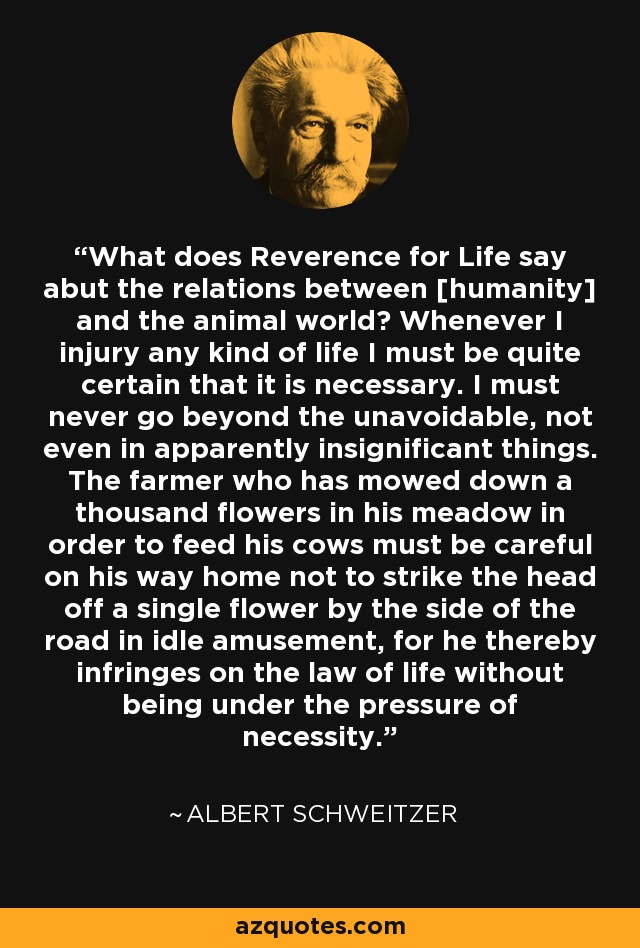 What does Reverence for Life say abut the relations between [humanity] and the animal world? Whenever I injury any kind of life I must be quite certain that it is necessary. I must never go beyond the unavoidable, not even in apparently insignificant things. The farmer who has mowed down a thousand flowers in his meadow in order to feed his cows must be careful on his way home not to strike the head off a single flower by the side of the road in idle amusement, for he thereby infringes on the law of life without being under the pressure of necessity. - Albert Schweitzer