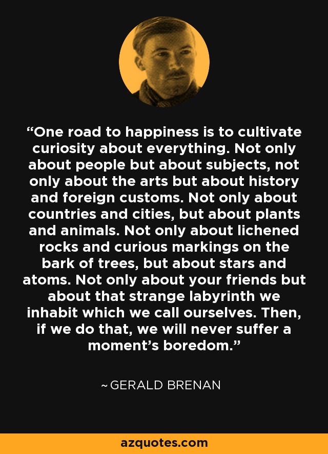 One road to happiness is to cultivate curiosity about everything. Not only about people but about subjects, not only about the arts but about history and foreign customs. Not only about countries and cities, but about plants and animals. Not only about lichened rocks and curious markings on the bark of trees, but about stars and atoms. Not only about your friends but about that strange labyrinth we inhabit which we call ourselves. Then, if we do that, we will never suffer a moment's boredom. - Gerald Brenan