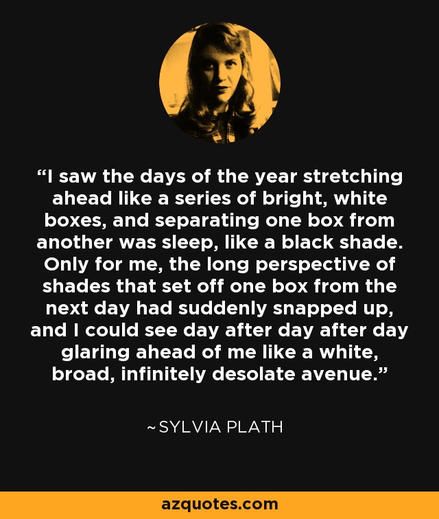 I saw the days of the year stretching ahead like a series of bright, white boxes, and separating one box from another was sleep, like a black shade. Only for me, the long perspective of shades that set off one box from the next day had suddenly snapped up, and I could see day after day after day glaring ahead of me like a white, broad, infinitely desolate avenue. - Sylvia Plath