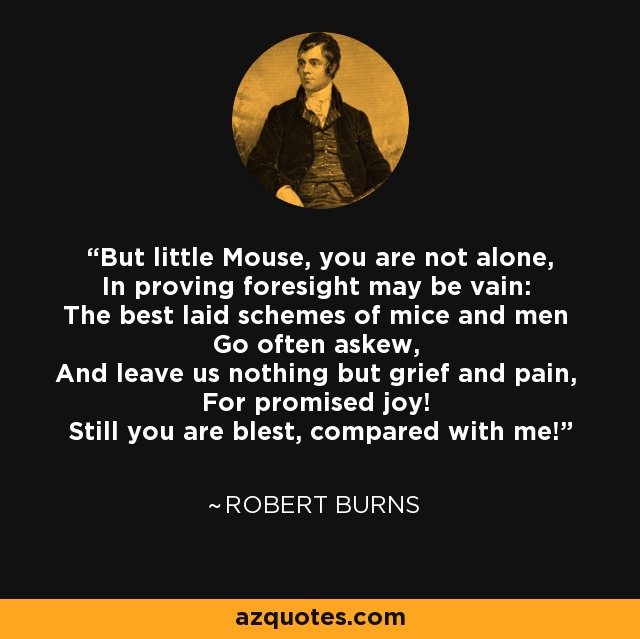 But little Mouse, you are not alone, In proving foresight may be vain: The best laid schemes of mice and men Go often askew, And leave us nothing but grief and pain, For promised joy! Still you are blest, compared with me! - Robert Burns