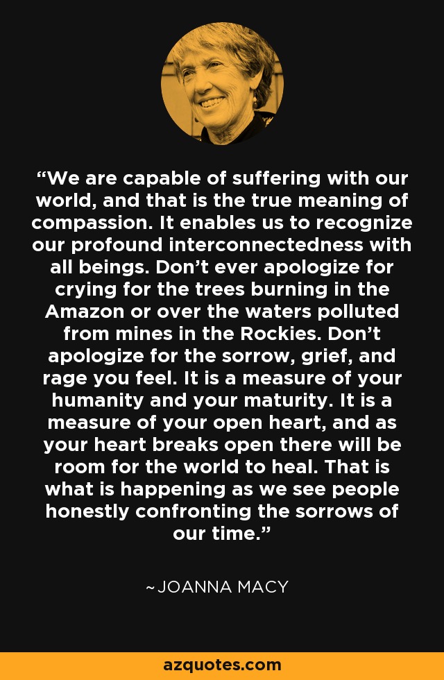 We are capable of suffering with our world, and that is the true meaning of compassion. It enables us to recognize our profound interconnectedness with all beings. Don't ever apologize for crying for the trees burning in the Amazon or over the waters polluted from mines in the Rockies. Don't apologize for the sorrow, grief, and rage you feel. It is a measure of your humanity and your maturity. It is a measure of your open heart, and as your heart breaks open there will be room for the world to heal. That is what is happening as we see people honestly confronting the sorrows of our time. - Joanna Macy