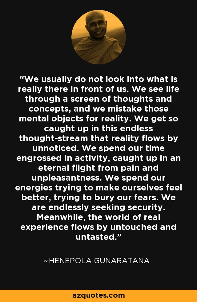 We usually do not look into what is really there in front of us. We see life through a screen of thoughts and concepts, and we mistake those mental objects for reality. We get so caught up in this endless thought-stream that reality flows by unnoticed. We spend our time engrossed in activity, caught up in an eternal flight from pain and unpleasantness. We spend our energies trying to make ourselves feel better, trying to bury our fears. We are endlessly seeking security. Meanwhile, the world of real experience flows by untouched and untasted. - Henepola Gunaratana