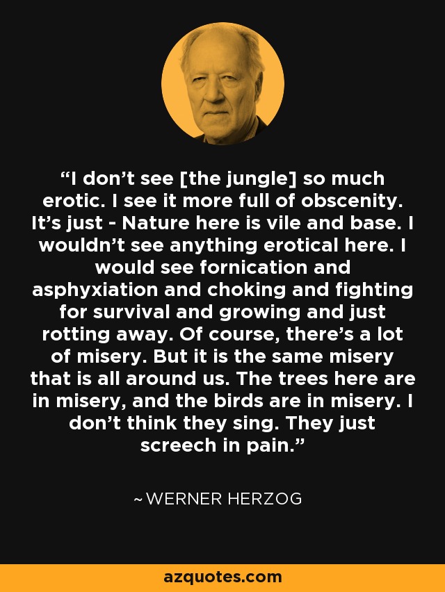 I don't see [the jungle] so much erotic. I see it more full of obscenity. It's just - Nature here is vile and base. I wouldn't see anything erotical here. I would see fornication and asphyxiation and choking and fighting for survival and growing and just rotting away. Of course, there's a lot of misery. But it is the same misery that is all around us. The trees here are in misery, and the birds are in misery. I don't think they sing. They just screech in pain. - Werner Herzog