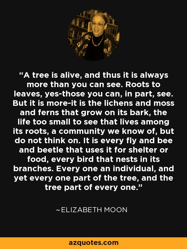 A tree is alive, and thus it is always more than you can see. Roots to leaves, yes-those you can, in part, see. But it is more-it is the lichens and moss and ferns that grow on its bark, the life too small to see that lives among its roots, a community we know of, but do not think on. It is every fly and bee and beetle that uses it for shelter or food, every bird that nests in its branches. Every one an individual, and yet every one part of the tree, and the tree part of every one. - Elizabeth Moon