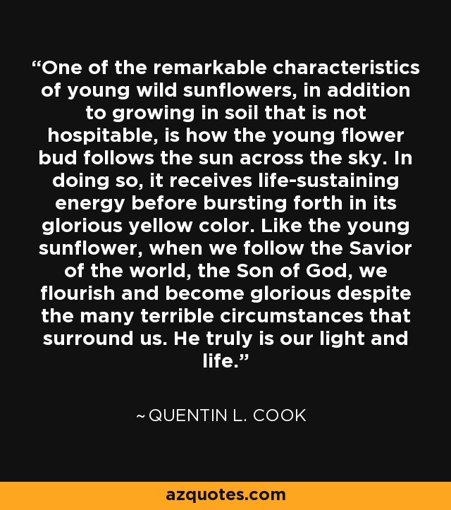 One of the remarkable characteristics of young wild sunflowers, in addition to growing in soil that is not hospitable, is how the young flower bud follows the sun across the sky. In doing so, it receives life-sustaining energy before bursting forth in its glorious yellow color. Like the young sunflower, when we follow the Savior of the world, the Son of God, we flourish and become glorious despite the many terrible circumstances that surround us. He truly is our light and life. - Quentin L. Cook