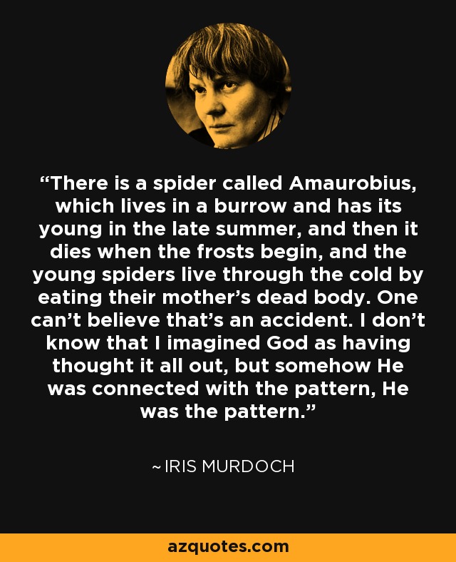 There is a spider called Amaurobius, which lives in a burrow and has its young in the late summer, and then it dies when the frosts begin, and the young spiders live through the cold by eating their mother's dead body. One can't believe that's an accident. I don't know that I imagined God as having thought it all out, but somehow He was connected with the pattern, He was the pattern. - Iris Murdoch