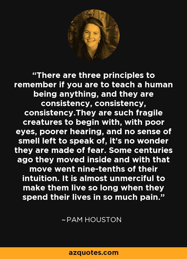 There are three principles to remember if you are to teach a human being anything, and they are consistency, consistency, consistency.They are such fragile creatures to begin with, with poor eyes, poorer hearing, and no sense of smell left to speak of, it's no wonder they are made of fear. Some centuries ago they moved inside and with that move went nine-tenths of their intuition. It is almost unmerciful to make them live so long when they spend their lives in so much pain. - Pam Houston