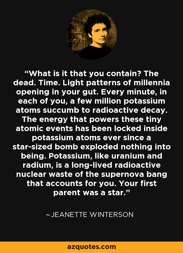 What is it that you contain? The dead. Time. Light patterns of millennia opening in your gut. Every minute, in each of you, a few million potassium atoms succumb to radioactive decay. The energy that powers these tiny atomic events has been locked inside potassium atoms ever since a star-sized bomb exploded nothing into being. Potassium, like uranium and radium, is a long-lived radioactive nuclear waste of the supernova bang that accounts for you. Your first parent was a star. - Jeanette Winterson