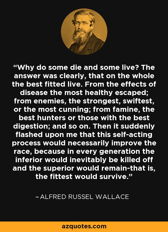 Why do some die and some live? The answer was clearly, that on the whole the best fitted live. From the effects of disease the most healthy escaped; from enemies, the strongest, swiftest, or the most cunning; from famine, the best hunters or those with the best digestion; and so on. Then it suddenly flashed upon me that this self-acting process would necessarily improve the race, because in every generation the inferior would inevitably be killed off and the superior would remain-that is, the fittest would survive. - Alfred Russel Wallace