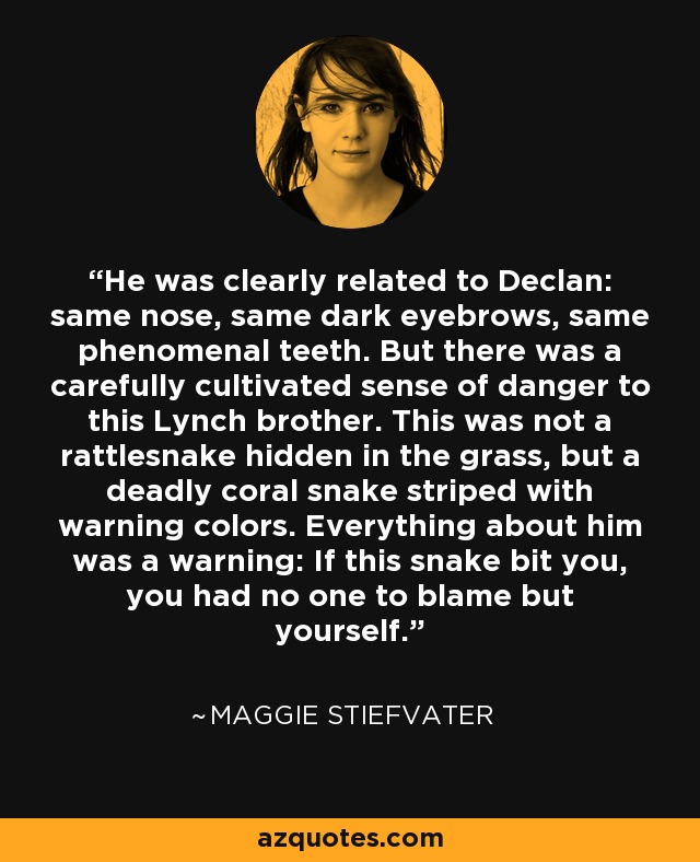 He was clearly related to Declan: same nose, same dark eyebrows, same phenomenal teeth. But there was a carefully cultivated sense of danger to this Lynch brother. This was not a rattlesnake hidden in the grass, but a deadly coral snake striped with warning colors. Everything about him was a warning: If this snake bit you, you had no one to blame but yourself. - Maggie Stiefvater