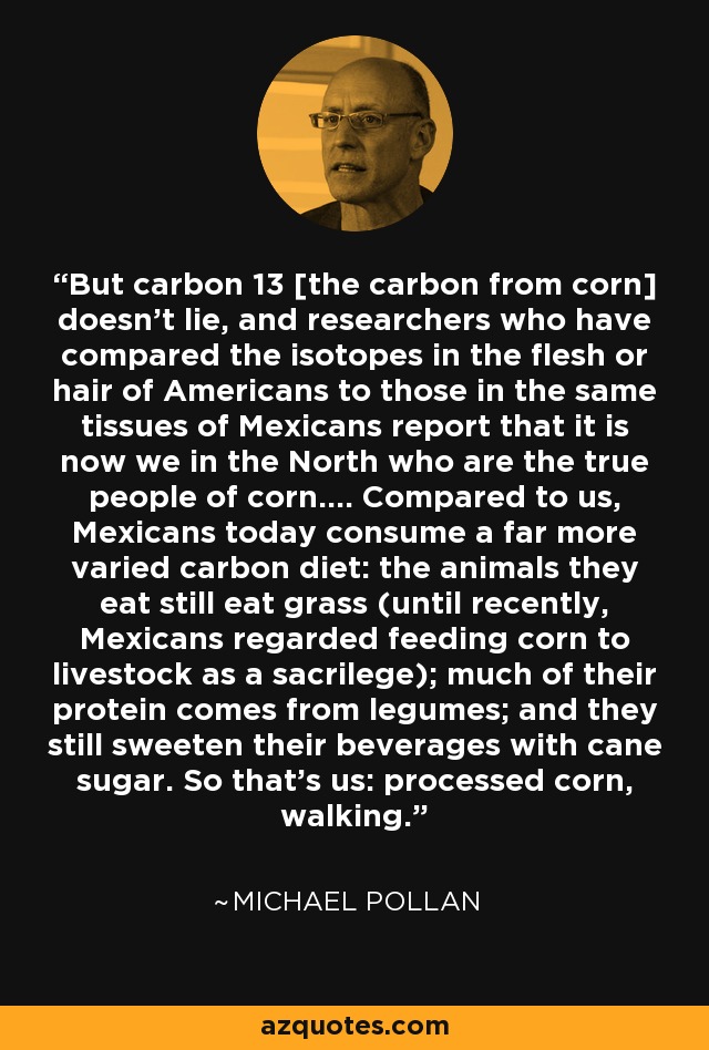 But carbon 13 [the carbon from corn] doesn't lie, and researchers who have compared the isotopes in the flesh or hair of Americans to those in the same tissues of Mexicans report that it is now we in the North who are the true people of corn.... Compared to us, Mexicans today consume a far more varied carbon diet: the animals they eat still eat grass (until recently, Mexicans regarded feeding corn to livestock as a sacrilege); much of their protein comes from legumes; and they still sweeten their beverages with cane sugar. So that's us: processed corn, walking. - Michael Pollan