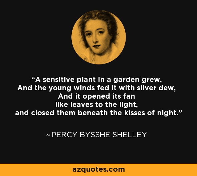 A sensitive plant in a garden grew, And the young winds fed it with silver dew, And it opened its fan like leaves to the light, and closed them beneath the kisses of night. - Percy Bysshe Shelley