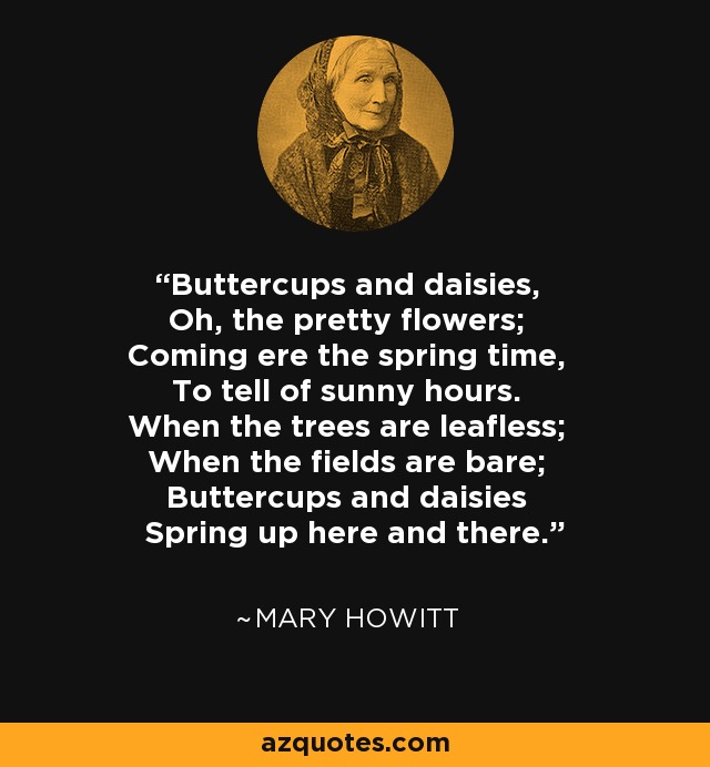 Buttercups and daisies, Oh, the pretty flowers; Coming ere the spring time, To tell of sunny hours. When the trees are leafless; When the fields are bare; Buttercups and daisies Spring up here and there. - Mary Howitt