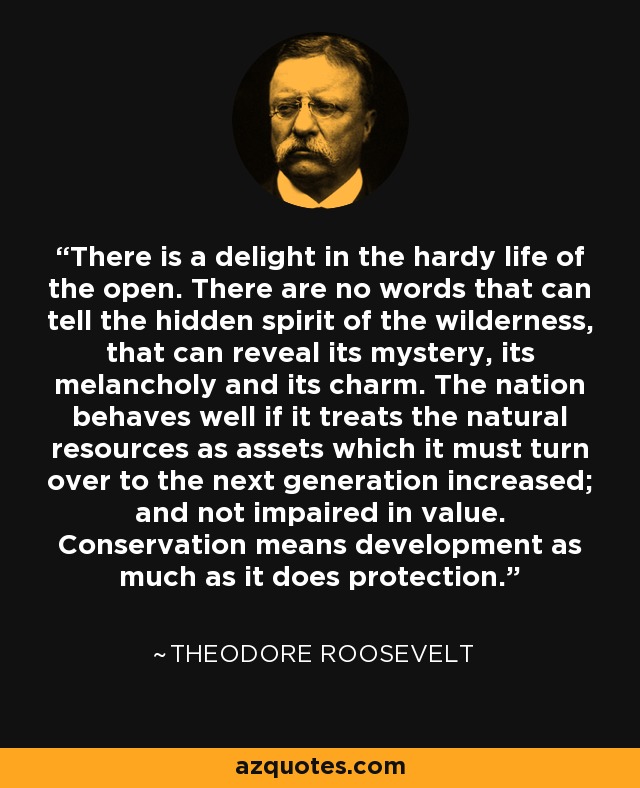 There is a delight in the hardy life of the open. There are no words that can tell the hidden spirit of the wilderness, that can reveal its mystery, its melancholy and its charm. The nation behaves well if it treats the natural resources as assets which it must turn over to the next generation increased; and not impaired in value. Conservation means development as much as it does protection. - Theodore Roosevelt