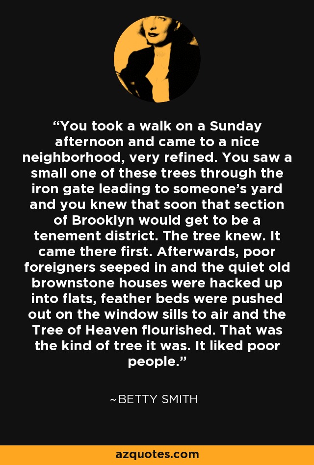 You took a walk on a Sunday afternoon and came to a nice neighborhood, very refined. You saw a small one of these trees through the iron gate leading to someone's yard and you knew that soon that section of Brooklyn would get to be a tenement district. The tree knew. It came there first. Afterwards, poor foreigners seeped in and the quiet old brownstone houses were hacked up into flats, feather beds were pushed out on the window sills to air and the Tree of Heaven flourished. That was the kind of tree it was. It liked poor people. - Betty Smith