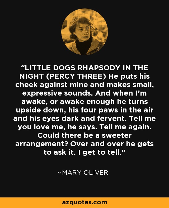 LITTLE DOGS RHAPSODY IN THE NIGHT (PERCY THREE) He puts his cheek against mine and makes small, expressive sounds. And when I'm awake, or awake enough he turns upside down, his four paws in the air and his eyes dark and fervent. Tell me you love me, he says. Tell me again. Could there be a sweeter arrangement? Over and over he gets to ask it. I get to tell. - Mary Oliver