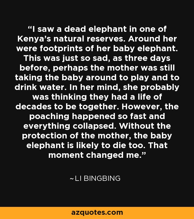 I saw a dead elephant in one of Kenya's natural reserves. Around her were footprints of her baby elephant. This was just so sad, as three days before, perhaps the mother was still taking the baby around to play and to drink water. In her mind, she probably was thinking they had a life of decades to be together. However, the poaching happened so fast and everything collapsed. Without the protection of the mother, the baby elephant is likely to die too. That moment changed me. - Li Bingbing