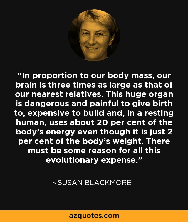 In proportion to our body mass, our brain is three times as large as that of our nearest relatives. This huge organ is dangerous and painful to give birth to, expensive to build and, in a resting human, uses about 20 per cent of the body's energy even though it is just 2 per cent of the body's weight. There must be some reason for all this evolutionary expense. - Susan Blackmore