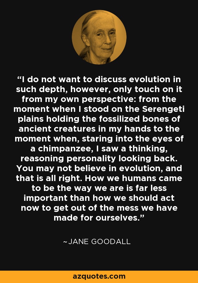 I do not want to discuss evolution in such depth, however, only touch on it from my own perspective: from the moment when I stood on the Serengeti plains holding the fossilized bones of ancient creatures in my hands to the moment when, staring into the eyes of a chimpanzee, I saw a thinking, reasoning personality looking back. You may not believe in evolution, and that is all right. How we humans came to be the way we are is far less important than how we should act now to get out of the mess we have made for ourselves. - Jane Goodall