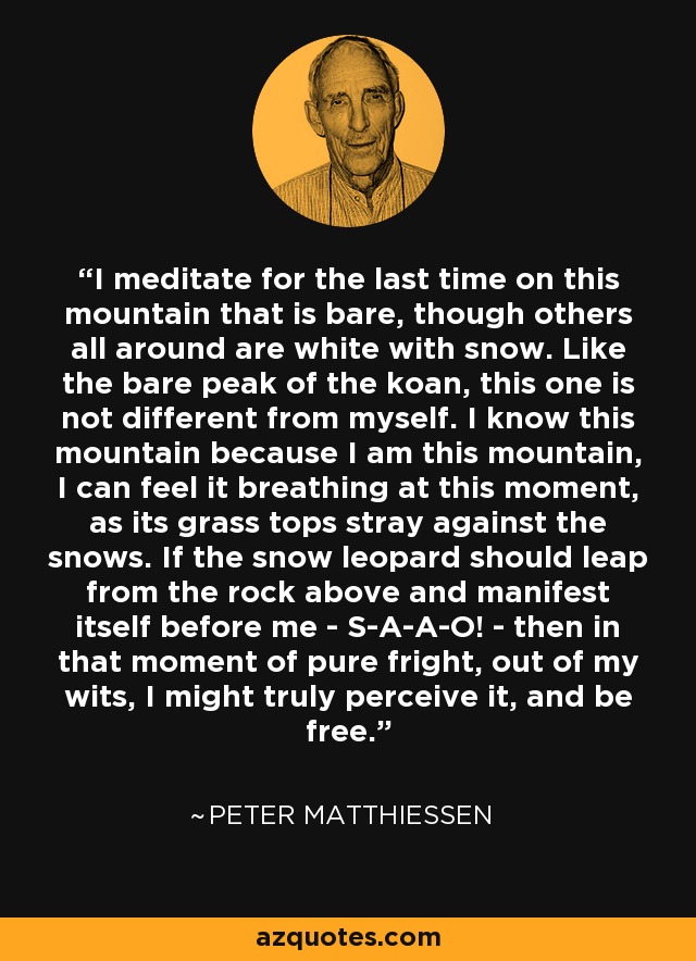 I meditate for the last time on this mountain that is bare, though others all around are white with snow. Like the bare peak of the koan, this one is not different from myself. I know this mountain because I am this mountain, I can feel it breathing at this moment, as its grass tops stray against the snows. If the snow leopard should leap from the rock above and manifest itself before me - S-A-A-O! - then in that moment of pure fright, out of my wits, I might truly perceive it, and be free. - Peter Matthiessen
