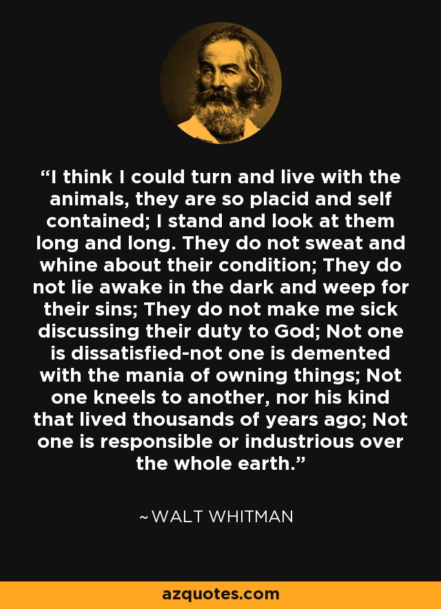 I think I could turn and live with the animals, they are so placid and self contained; I stand and look at them long and long. They do not sweat and whine about their condition; They do not lie awake in the dark and weep for their sins; They do not make me sick discussing their duty to God; Not one is dissatisfied-not one is demented with the mania of owning things; Not one kneels to another, nor his kind that lived thousands of years ago; Not one is responsible or industrious over the whole earth. - Walt Whitman