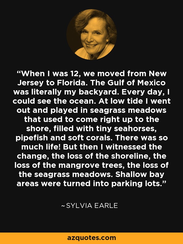 When I was 12, we moved from New Jersey to Florida. The Gulf of Mexico was literally my backyard. Every day, I could see the ocean. At low tide I went out and played in seagrass meadows that used to come right up to the shore, filled with tiny seahorses, pipefish and soft corals. There was so much life! But then I witnessed the change, the loss of the shoreline, the loss of the mangrove trees, the loss of the seagrass meadows. Shallow bay areas were turned into parking lots. - Sylvia Earle