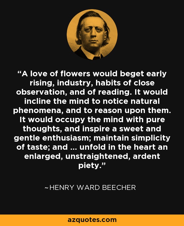 A love of flowers would beget early rising, industry, habits of close observation, and of reading. It would incline the mind to notice natural phenomena, and to reason upon them. It would occupy the mind with pure thoughts, and inspire a sweet and gentle enthusiasm; maintain simplicity of taste; and ... unfold in the heart an enlarged, unstraightened, ardent piety. - Henry Ward Beecher