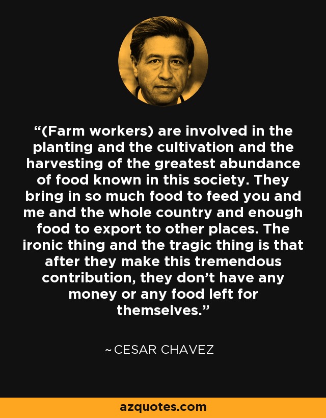 (Farm workers) are involved in the planting and the cultivation and the harvesting of the greatest abundance of food known in this society. They bring in so much food to feed you and me and the whole country and enough food to export to other places. The ironic thing and the tragic thing is that after they make this tremendous contribution, they don't have any money or any food left for themselves. - Cesar Chavez