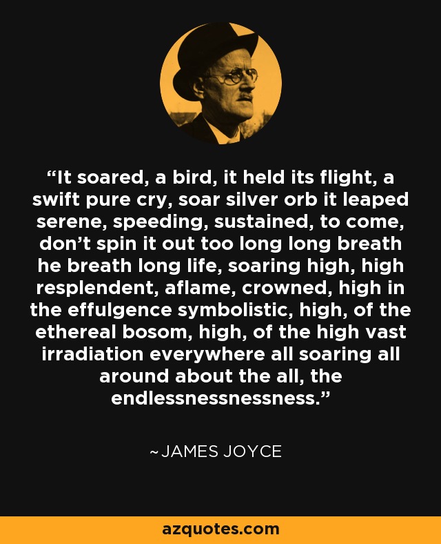 It soared, a bird, it held its flight, a swift pure cry, soar silver orb it leaped serene, speeding, sustained, to come, don't spin it out too long long breath he breath long life, soaring high, high resplendent, aflame, crowned, high in the effulgence symbolistic, high, of the ethereal bosom, high, of the high vast irradiation everywhere all soaring all around about the all, the endlessnessnessness. - James Joyce