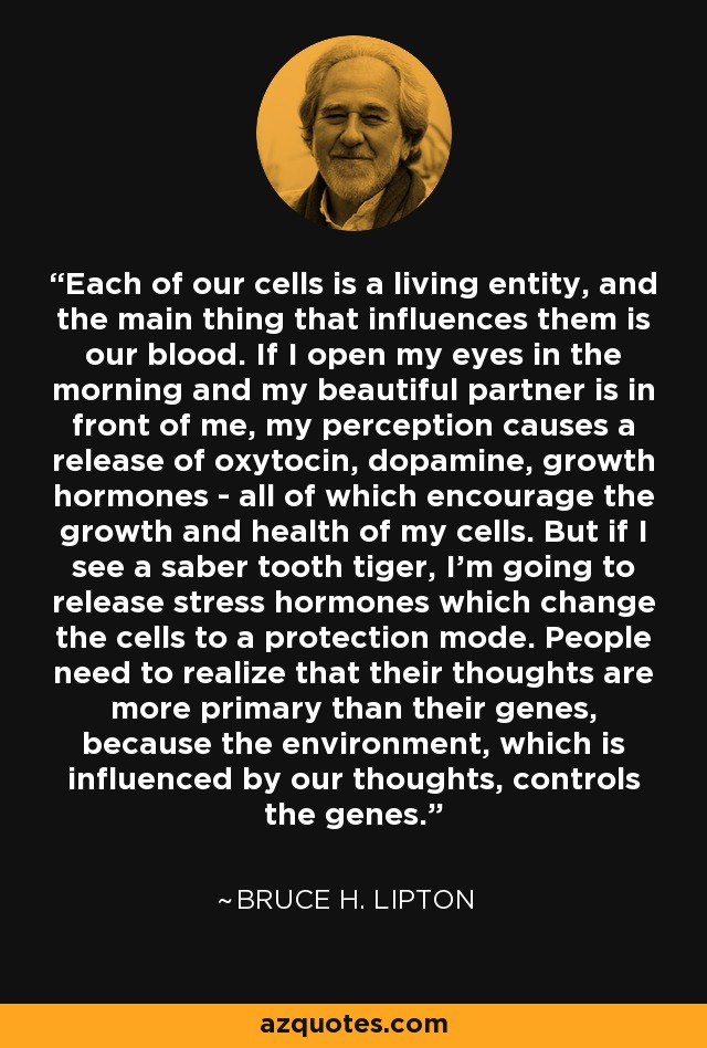 Each of our cells is a living entity, and the main thing that influences them is our blood. If I open my eyes in the morning and my beautiful partner is in front of me, my perception causes a release of oxytocin, dopamine, growth hormones - all of which encourage the growth and health of my cells. But if I see a saber tooth tiger, I'm going to release stress hormones which change the cells to a protection mode. People need to realize that their thoughts are more primary than their genes, because the environment, which is influenced by our thoughts, controls the genes. - Bruce H. Lipton