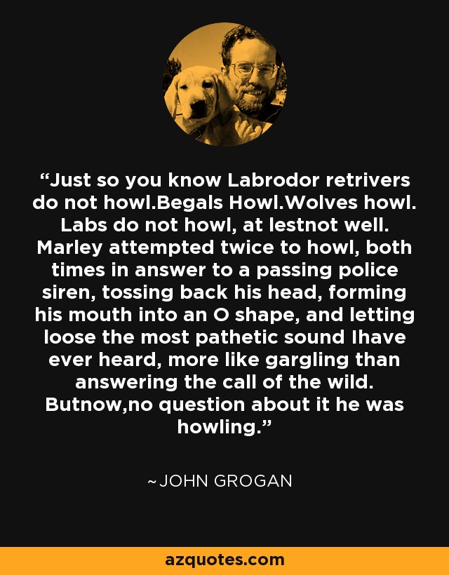Just so you know Labrodor retrivers do not howl.Begals Howl.Wolves howl. Labs do not howl, at lestnot well. Marley attempted twice to howl, both times in answer to a passing police siren, tossing back his head, forming his mouth into an O shape, and letting loose the most pathetic sound Ihave ever heard, more like gargling than answering the call of the wild. Butnow,no question about it he was howling. - John Grogan