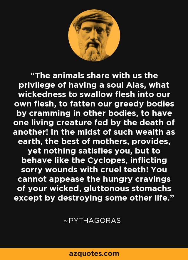 Los animales comparten con nosotros el privilegio de tener alma ¡Ay, qué maldad tragar carne en nuestra propia carne, engordar nuestros cuerpos codiciosos atiborrando otros cuerpos, hacer que una criatura viva se alimente de la muerte de otra! En medio de tanta riqueza como la que proporciona la tierra, la mejor de las madres, nada os satisface, sino comportaros como los cíclopes, infligiendo lamentables heridas con crueles dientes. No podéis calmar las hambrientas ansias de vuestros malvados y glotones estómagos si no es destruyendo alguna otra vida. - Pitágoras