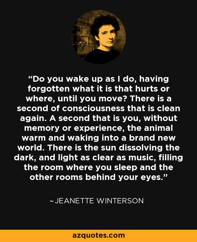 Do you wake up as I do, having forgotten what it is that hurts or where, until you move? There is a second of consciousness that is clean again. A second that is you, without memory or experience, the animal warm and waking into a brand new world. There is the sun dissolving the dark, and light as clear as music, filling the room where you sleep and the other rooms behind your eyes. - Jeanette Winterson