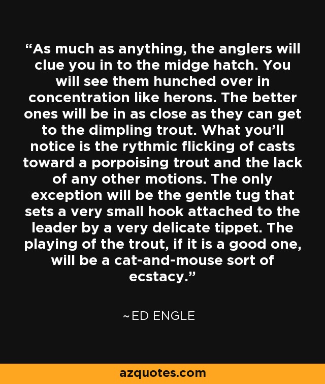 As much as anything, the anglers will clue you in to the midge hatch. You will see them hunched over in concentration like herons. The better ones will be in as close as they can get to the dimpling trout. What you'll notice is the rythmic flicking of casts toward a porpoising trout and the lack of any other motions. The only exception will be the gentle tug that sets a very small hook attached to the leader by a very delicate tippet. The playing of the trout, if it is a good one, will be a cat-and-mouse sort of ecstacy. - Ed Engle