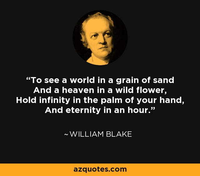 Ver un mundo en un grano de arena Y un cielo en una flor silvestre, Sostener el infinito en la palma de tu mano, Y la eternidad en una hora. - William Blake