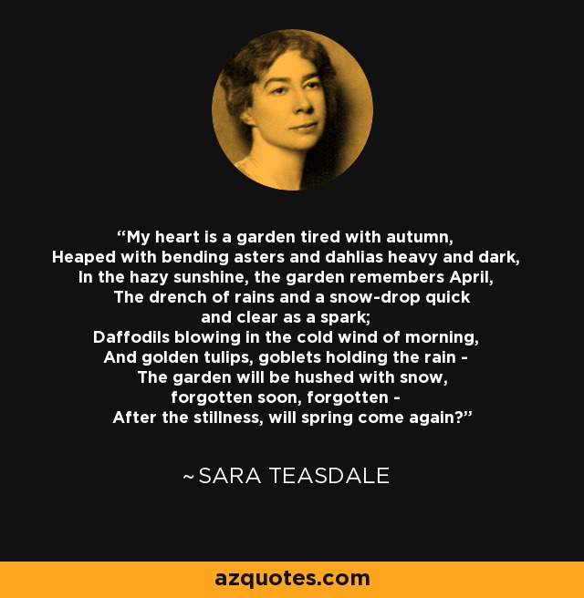 My heart is a garden tired with autumn, Heaped with bending asters and dahlias heavy and dark, In the hazy sunshine, the garden remembers April, The drench of rains and a snow-drop quick and clear as a spark; Daffodils blowing in the cold wind of morning, And golden tulips, goblets holding the rain - The garden will be hushed with snow, forgotten soon, forgotten - After the stillness, will spring come again? - Sara Teasdale