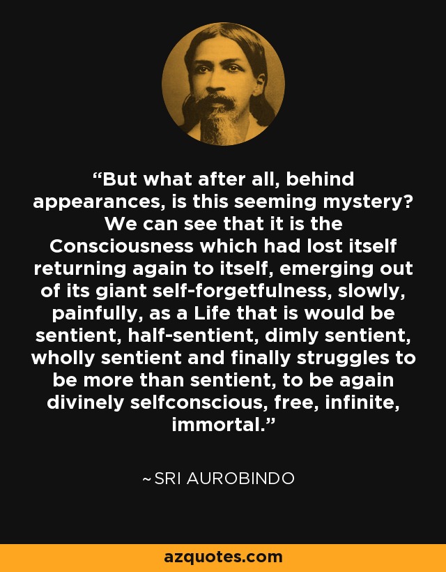 But what after all, behind appearances, is this seeming mystery? We can see that it is the Consciousness which had lost itself returning again to itself, emerging out of its giant self-forgetfulness, slowly, painfully, as a Life that is would be sentient, half-sentient, dimly sentient, wholly sentient and finally struggles to be more than sentient, to be again divinely selfconscious, free, infinite, immortal. - Sri Aurobindo