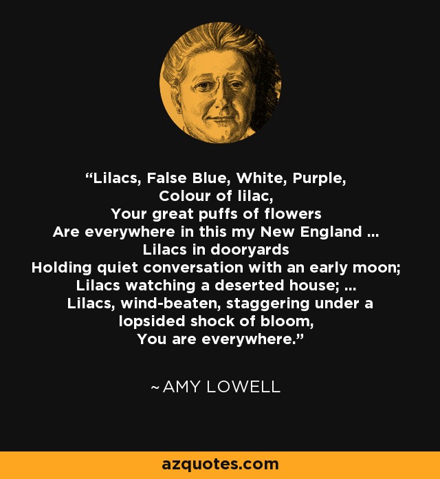 Lilacs, False Blue, White, Purple, Colour of lilac, Your great puffs of flowers Are everywhere in this my New England ... Lilacs in dooryards Holding quiet conversation with an early moon; Lilacs watching a deserted house; ... Lilacs, wind-beaten, staggering under a lopsided shock of bloom, You are everywhere. - Amy Lowell