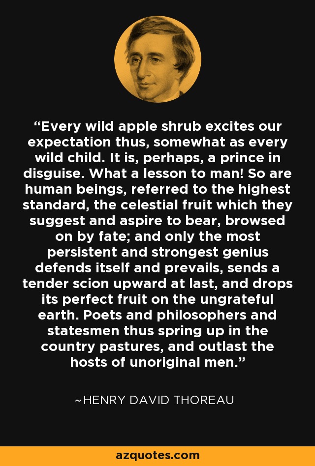 Every wild apple shrub excites our expectation thus, somewhat as every wild child. It is, perhaps, a prince in disguise. What a lesson to man! So are human beings, referred to the highest standard, the celestial fruit which they suggest and aspire to bear, browsed on by fate; and only the most persistent and strongest genius defends itself and prevails, sends a tender scion upward at last, and drops its perfect fruit on the ungrateful earth. Poets and philosophers and statesmen thus spring up in the country pastures, and outlast the hosts of unoriginal men. - Henry David Thoreau