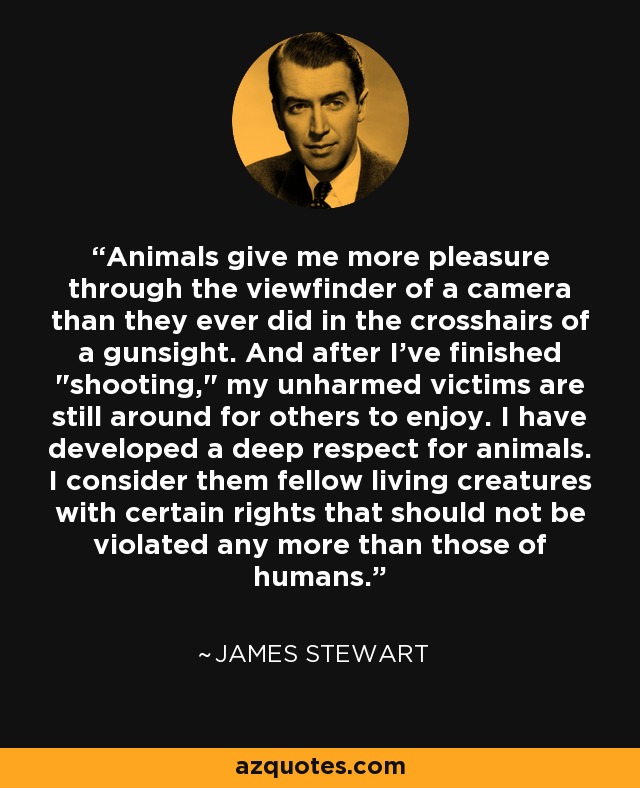 Animals give me more pleasure through the viewfinder of a camera than they ever did in the crosshairs of a gunsight. And after I've finished 