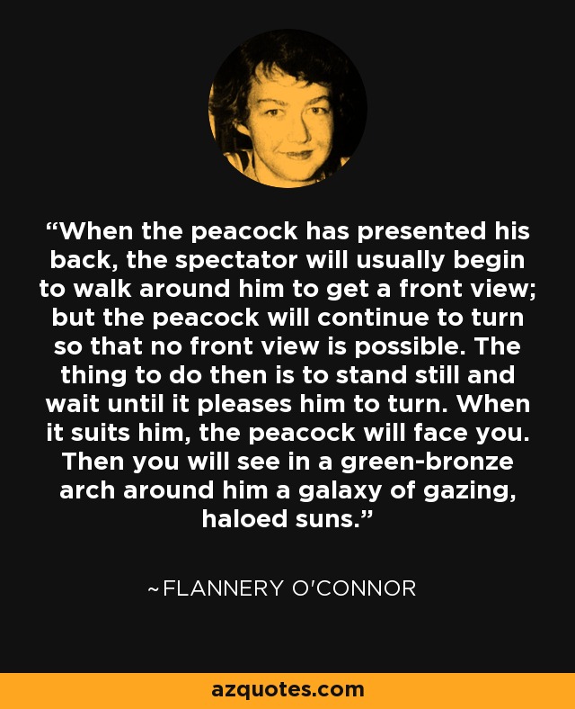 When the peacock has presented his back, the spectator will usually begin to walk around him to get a front view; but the peacock will continue to turn so that no front view is possible. The thing to do then is to stand still and wait until it pleases him to turn. When it suits him, the peacock will face you. Then you will see in a green-bronze arch around him a galaxy of gazing, haloed suns. - Flannery O'Connor