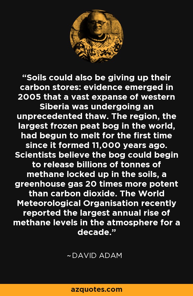 Soils could also be giving up their carbon stores: evidence emerged in 2005 that a vast expanse of western Siberia was undergoing an unprecedented thaw. The region, the largest frozen peat bog in the world, had begun to melt for the first time since it formed 11,000 years ago. Scientists believe the bog could begin to release billions of tonnes of methane locked up in the soils, a greenhouse gas 20 times more potent than carbon dioxide. The World Meteorological Organisation recently reported the largest annual rise of methane levels in the atmosphere for a decade. - David Adam