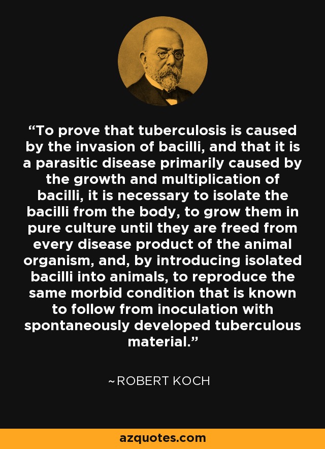 Para probar que la tuberculosis es causada por la invasión de bacilos, y que es una enfermedad parasitaria causada principalmente por el crecimiento y multiplicación de bacilos, es necesario aislar los bacilos del cuerpo, hacerlos crecer en cultivo puro hasta que se liberen de todo producto de enfermedad del organismo animal, e, introduciendo bacilos aislados en animales, reproducir la misma condición mórbida que se sabe sigue de la inoculación con material tuberculoso desarrollado espontáneamente. - Robert Koch