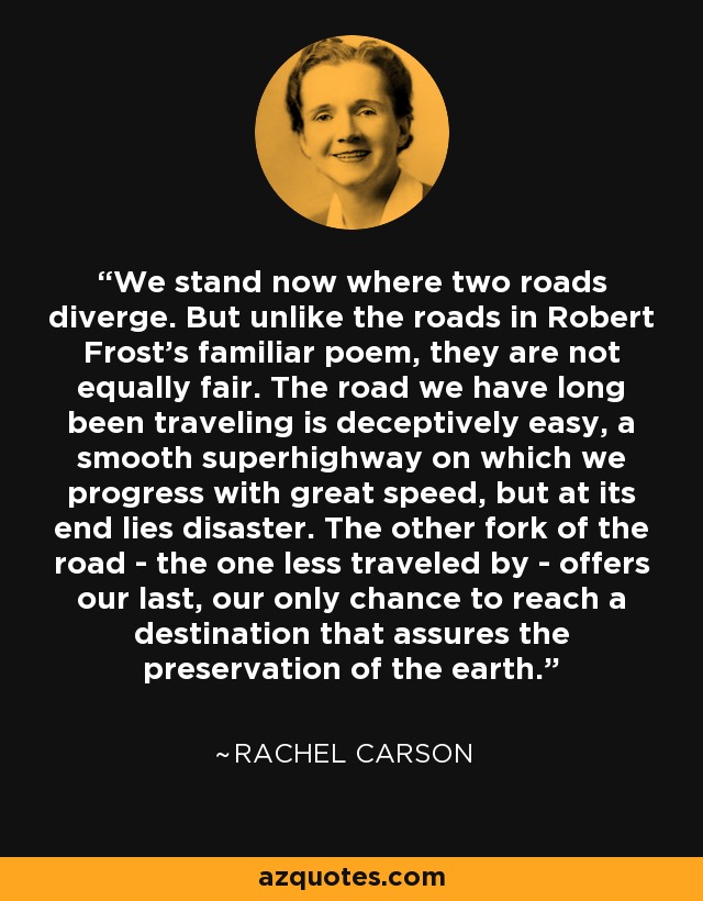 We stand now where two roads diverge. But unlike the roads in Robert Frost's familiar poem, they are not equally fair. The road we have long been traveling is deceptively easy, a smooth superhighway on which we progress with great speed, but at its end lies disaster. The other fork of the road - the one less traveled by - offers our last, our only chance to reach a destination that assures the preservation of the earth. - Rachel Carson