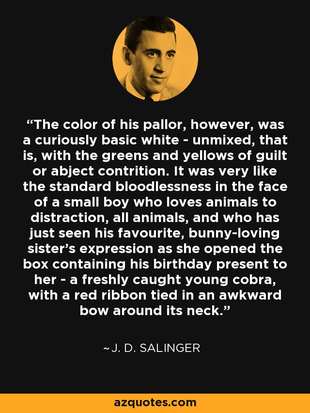The color of his pallor, however, was a curiously basic white - unmixed, that is, with the greens and yellows of guilt or abject contrition. It was very like the standard bloodlessness in the face of a small boy who loves animals to distraction, all animals, and who has just seen his favourite, bunny-loving sister's expression as she opened the box containing his birthday present to her - a freshly caught young cobra, with a red ribbon tied in an awkward bow around its neck. - J. D. Salinger
