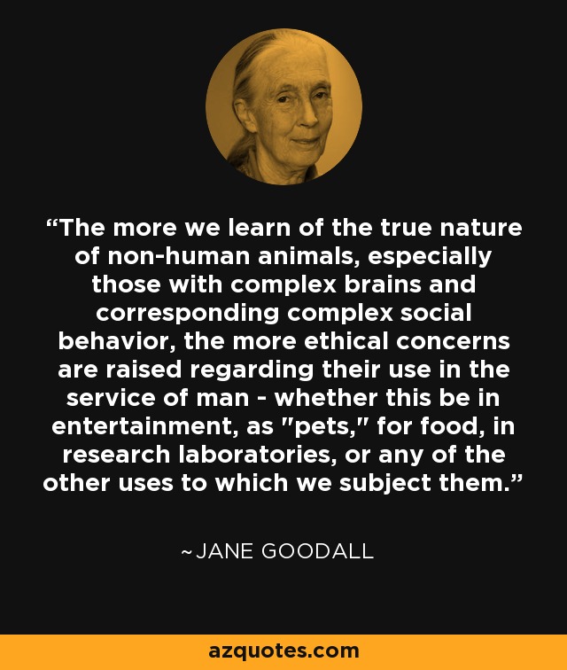 The more we learn of the true nature of non-human animals, especially those with complex brains and corresponding complex social behavior, the more ethical concerns are raised regarding their use in the service of man - whether this be in entertainment, as 