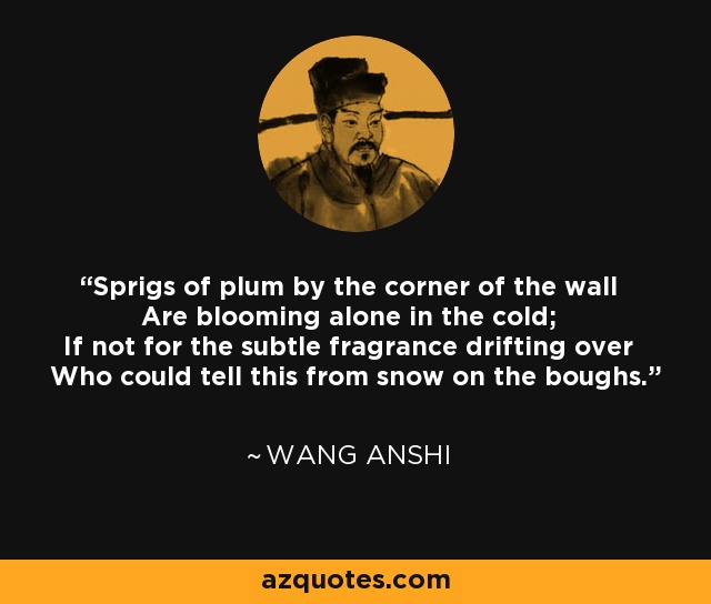 Sprigs of plum by the corner of the wall Are blooming alone in the cold; If not for the subtle fragrance drifting over Who could tell this from snow on the boughs. - Wang Anshi