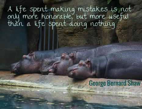 A life spent making mistakes is not only more honorable, but more useful than a life spent doing nothing. - George Bernard Shaw